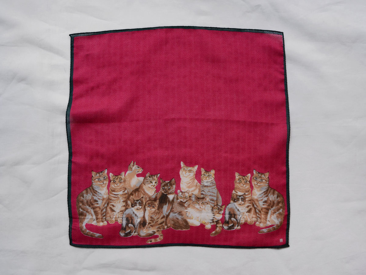 Handkerchief Cat - MAKIE