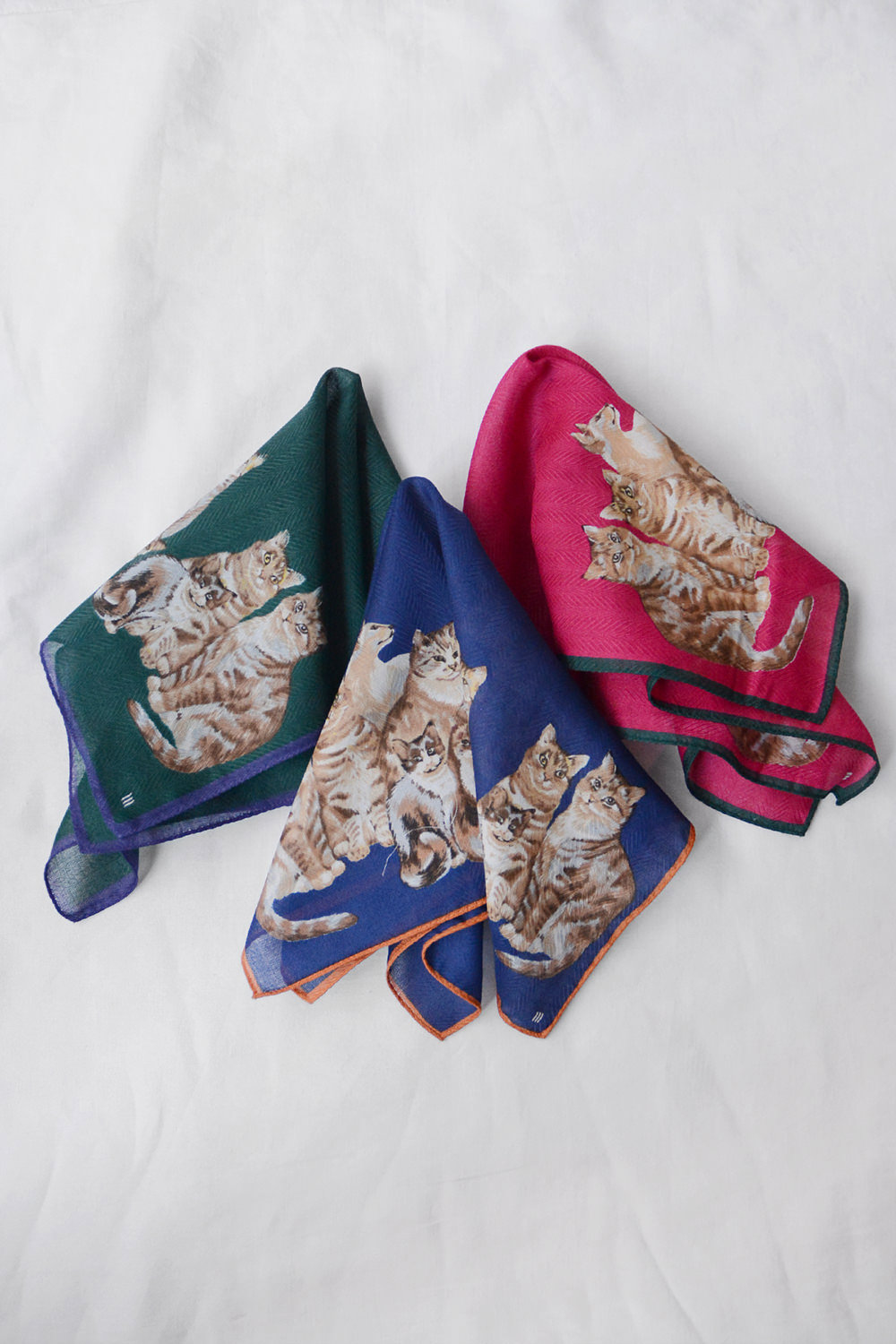 Handkerchief Cat