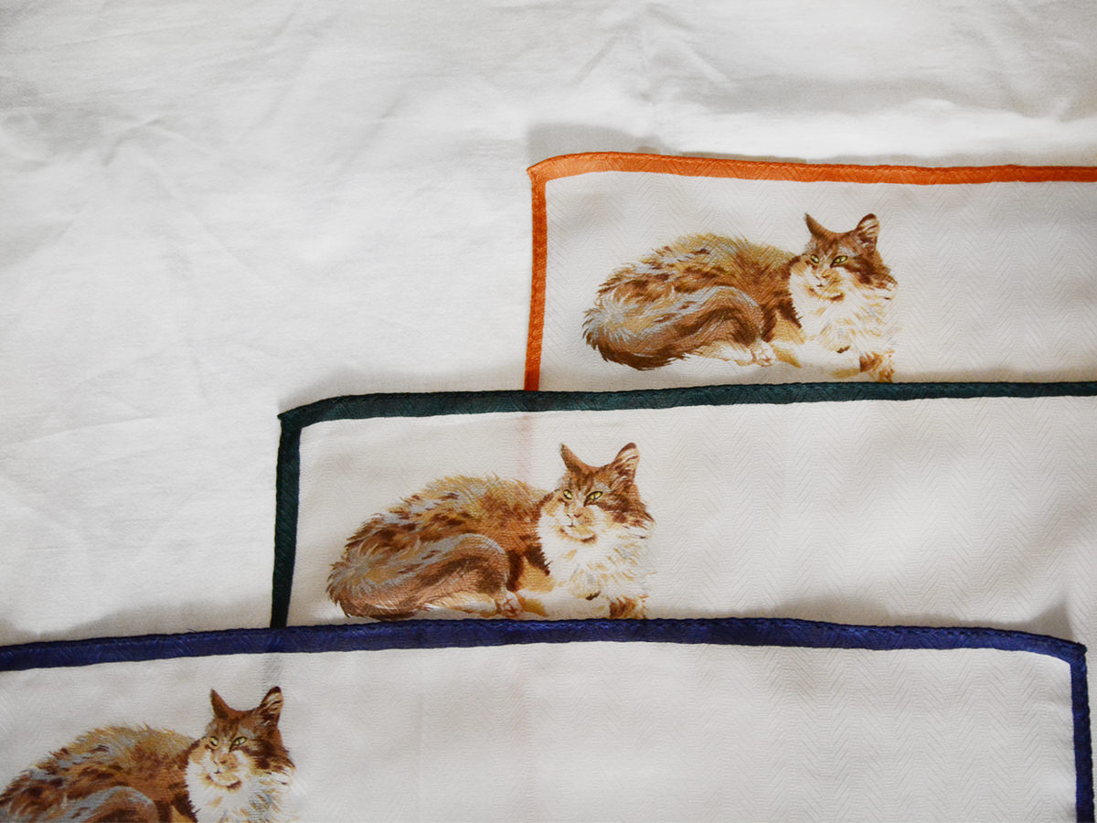 Handkerchief Cat - Group #2 - MAKIE