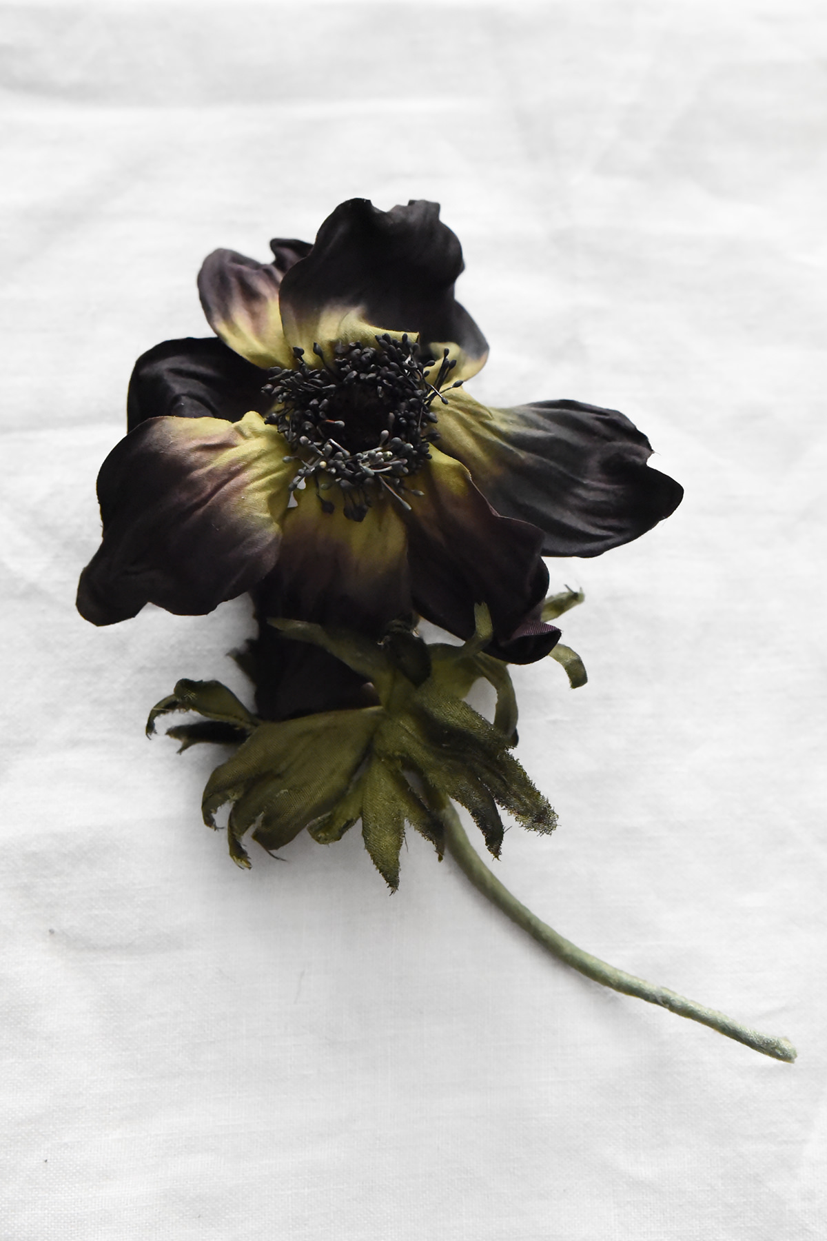 Hand-painted silk anemone flower with black petals and dark center by Japanese artist Hitoyo